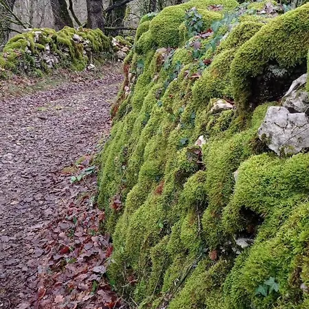 Le Figuier Mobil 6 Personnes Le Bel Air Limogne-en-Quercy