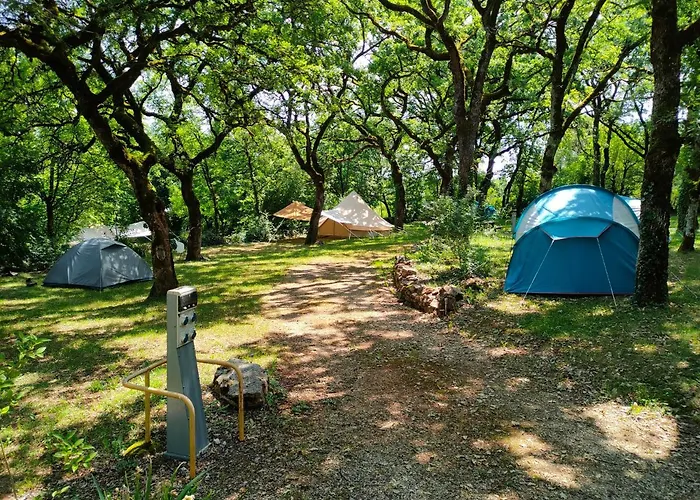 Le Figuier Mobil 6 Personnes Le Bel Air *