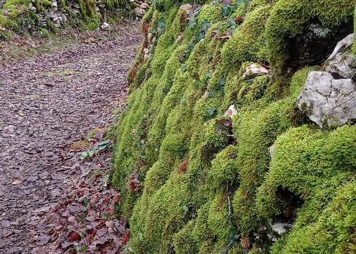 Le Figuier Mobil 6 Personnes Le Bel Air Limogne-en-Quercy